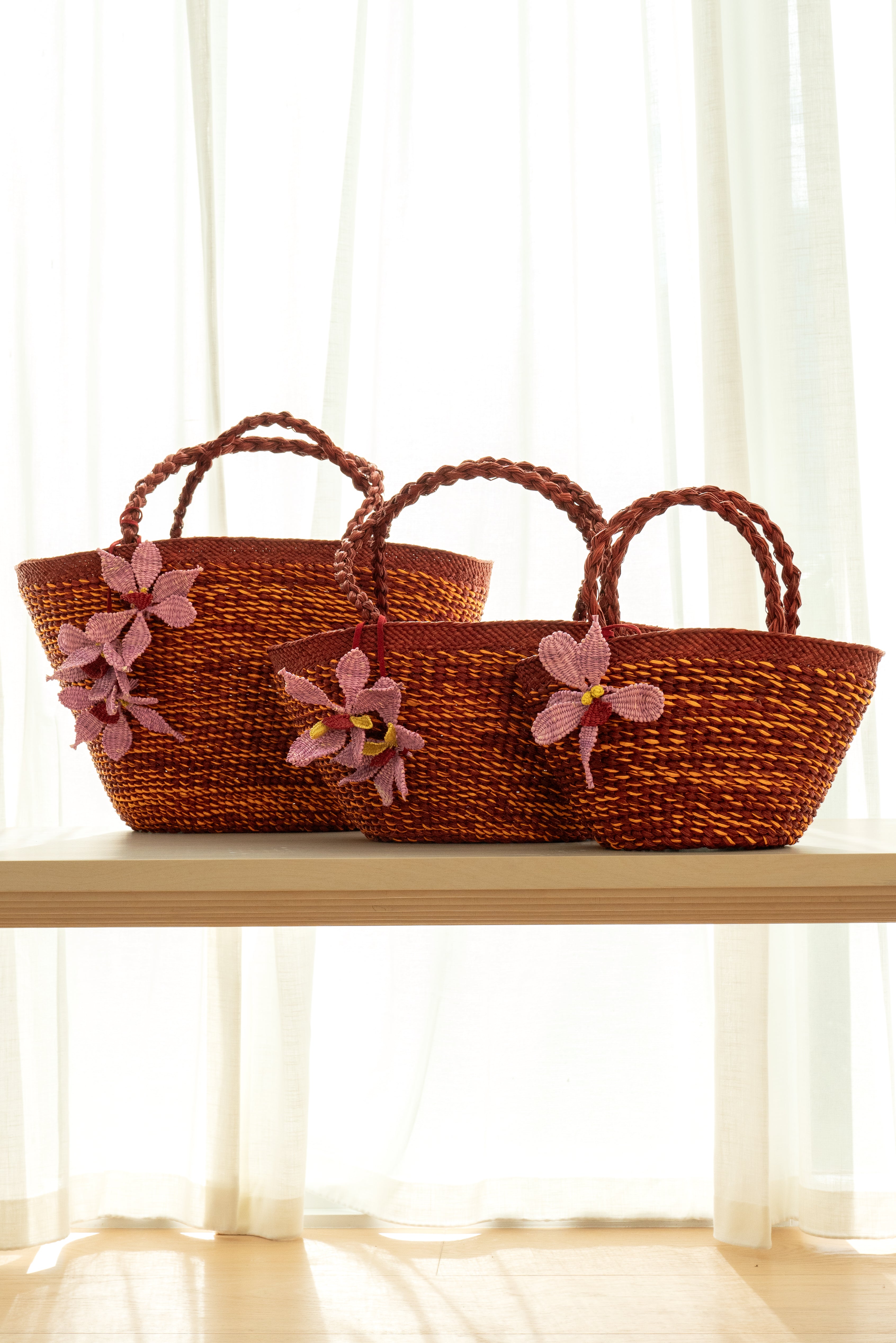 Latin America Flowers Collection