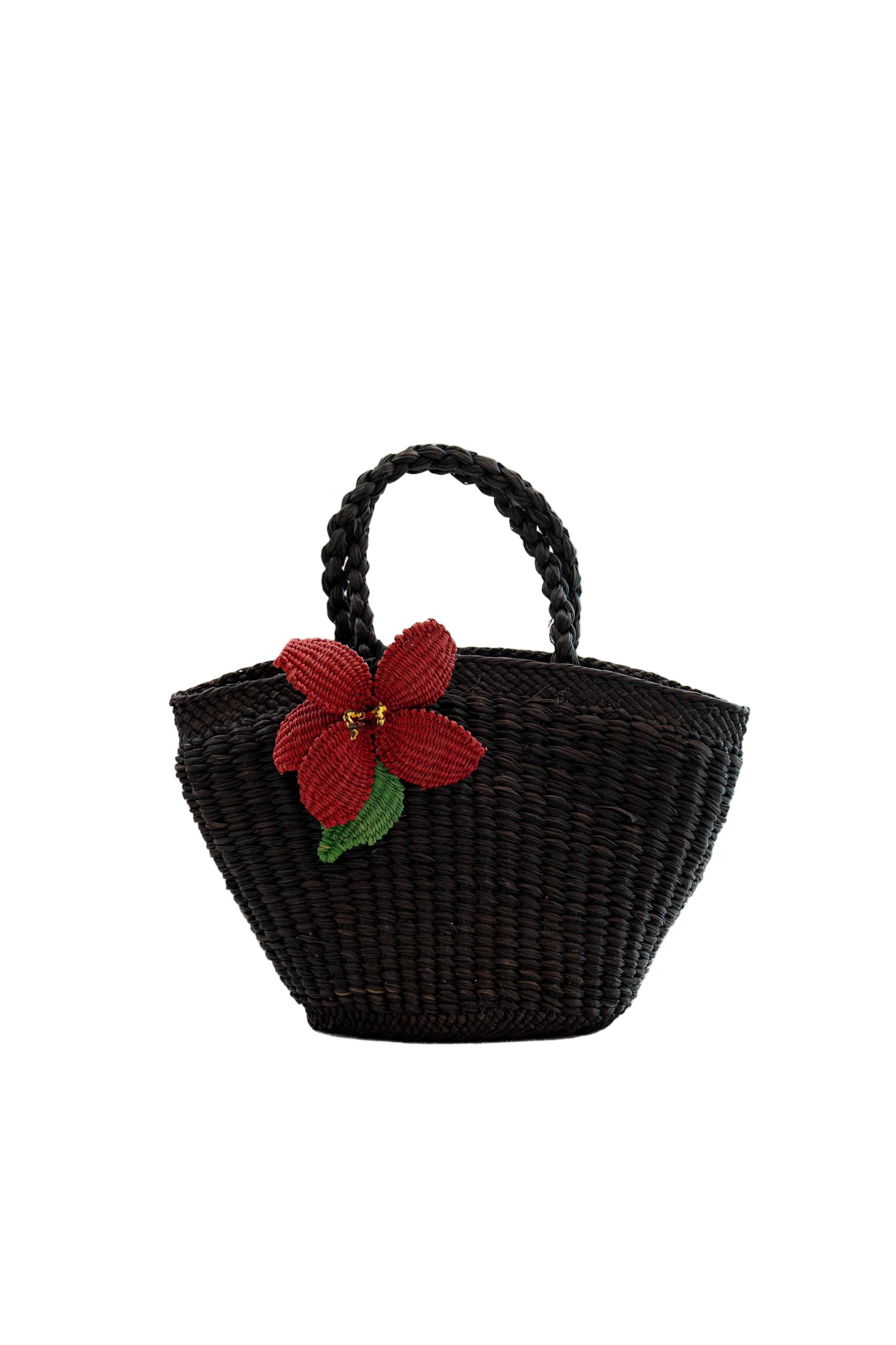 Echo Hibiscus