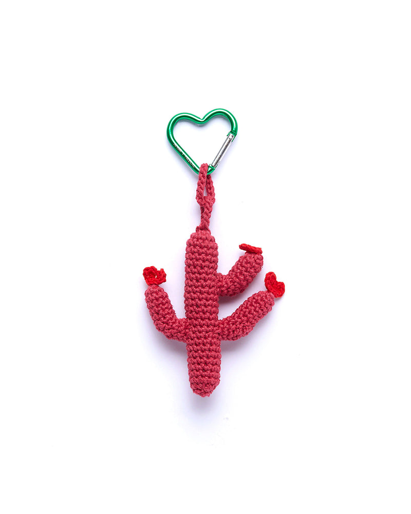 Cactus in love, pink