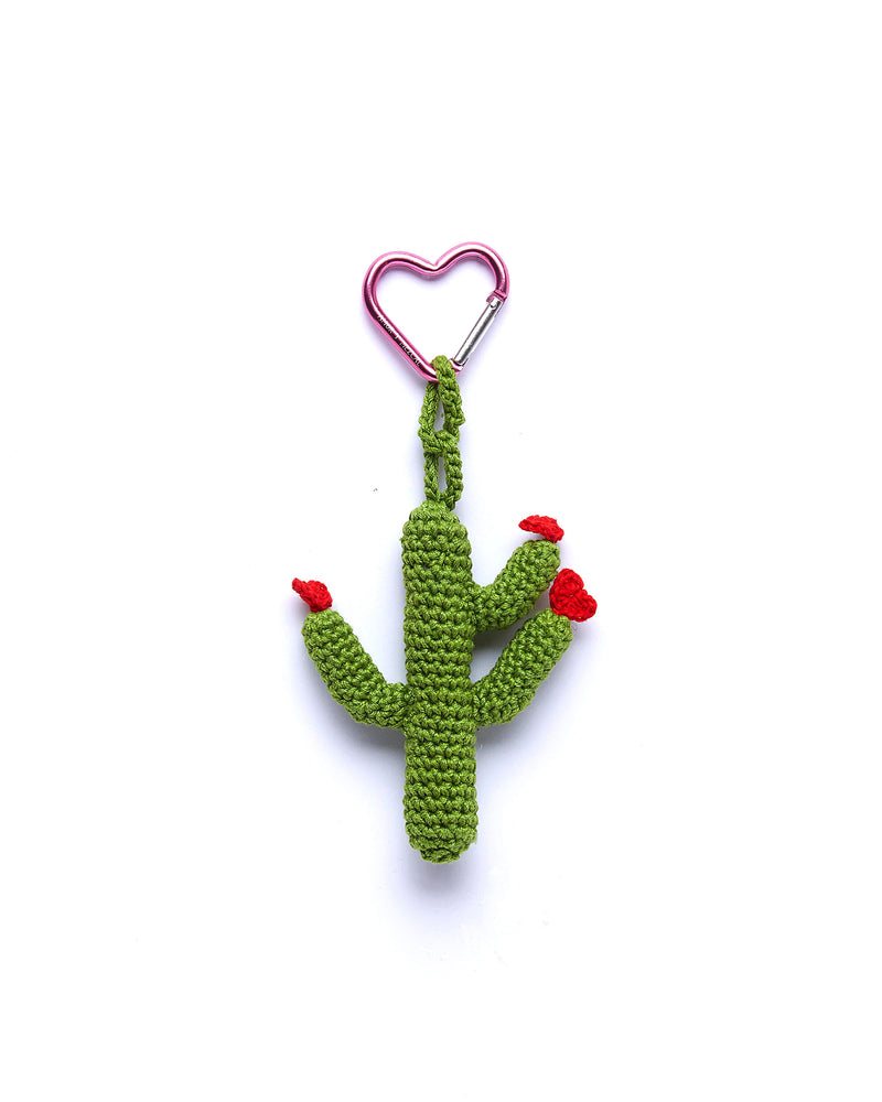 Cactus in love, green